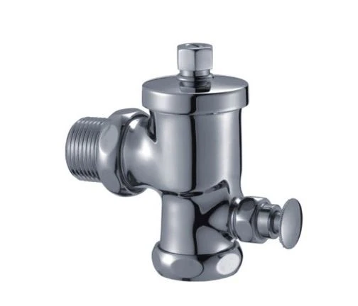 Toilet Flush Valve With Push Button Delay Timing