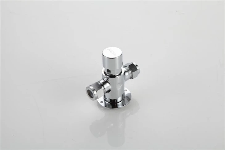 Self-closing Shower Valve