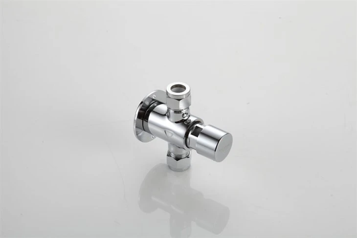 Self-closing Shower Valve